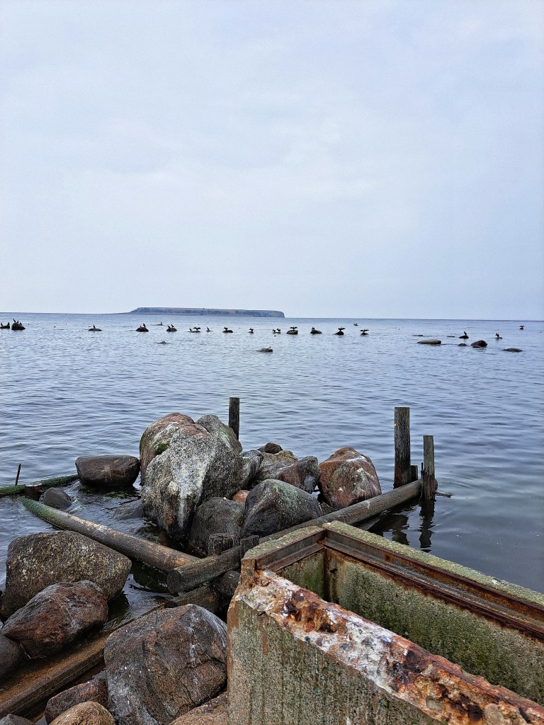 Sofia Lena Perissinotto, blogger. Here I write about the Eksta Coast (Gotland) nature reserve witch extends from Djupvik to Hammarudden.