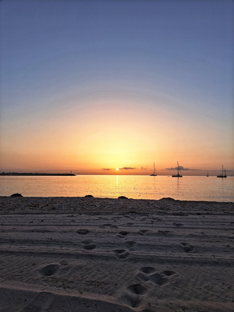 Sofia Lena Perissinotto, wellness blogger. In this article I write about the importance of having morning routines in one's life. A well established morning routine can lead to a better day ahead, giving you more positivity, energies and focus :)