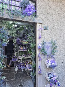 I am Sofia Lena Perissinotto, I am a blogger, content creator. In this article I am writing about Varenna, one of the most enchanting places on the Como Lake. In this photo I am showing a typical shop called Lavanda del Lago (Lavender of the Lake) that sells authentic lavender products, souvenirs! You can find Lavanda del Lago also in others Como Lake villages like Menaggio, and Bellagio!