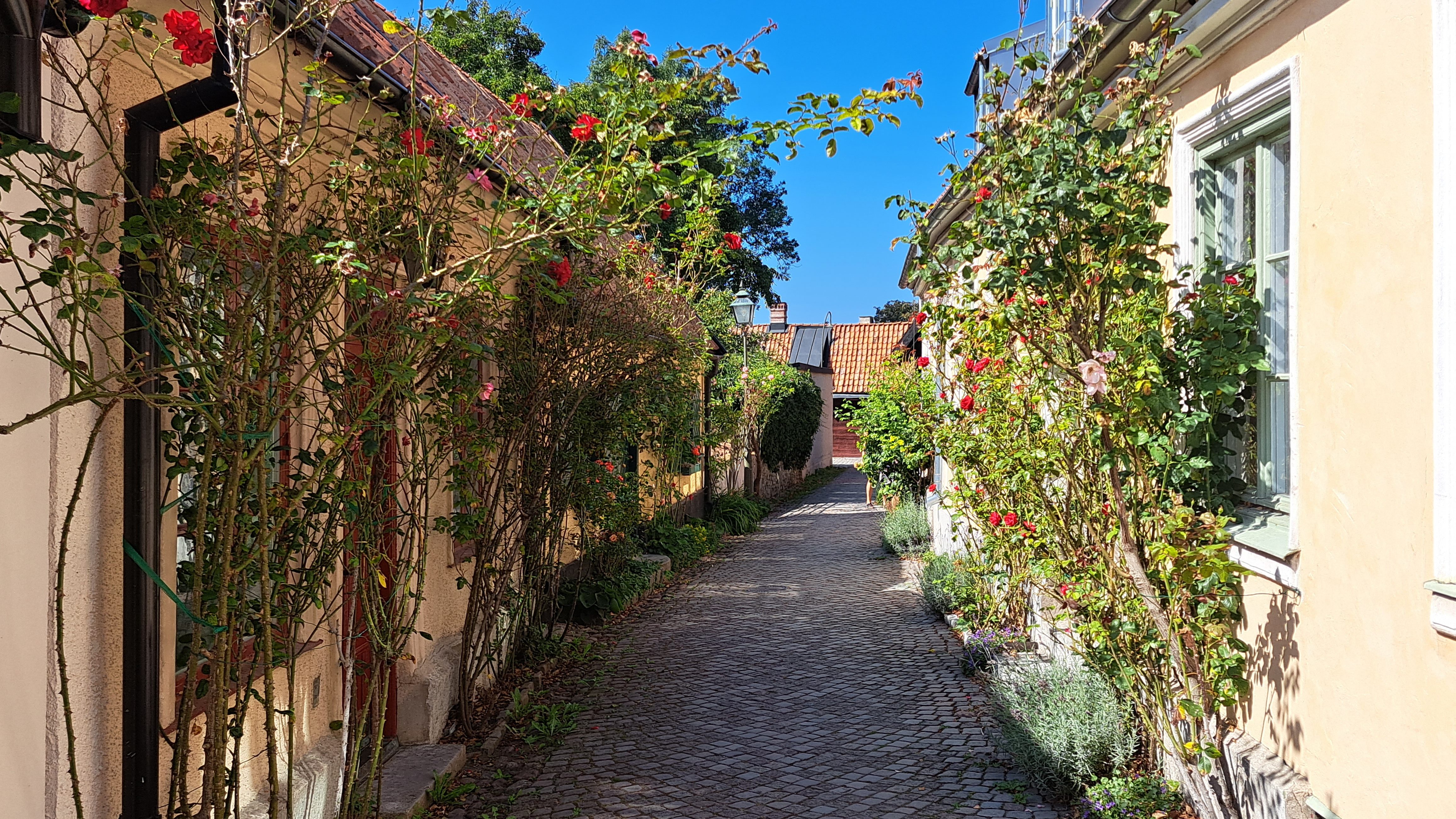 Blogger. Travel. Fiskargränd, a lovely narrow, small street in Visby!
