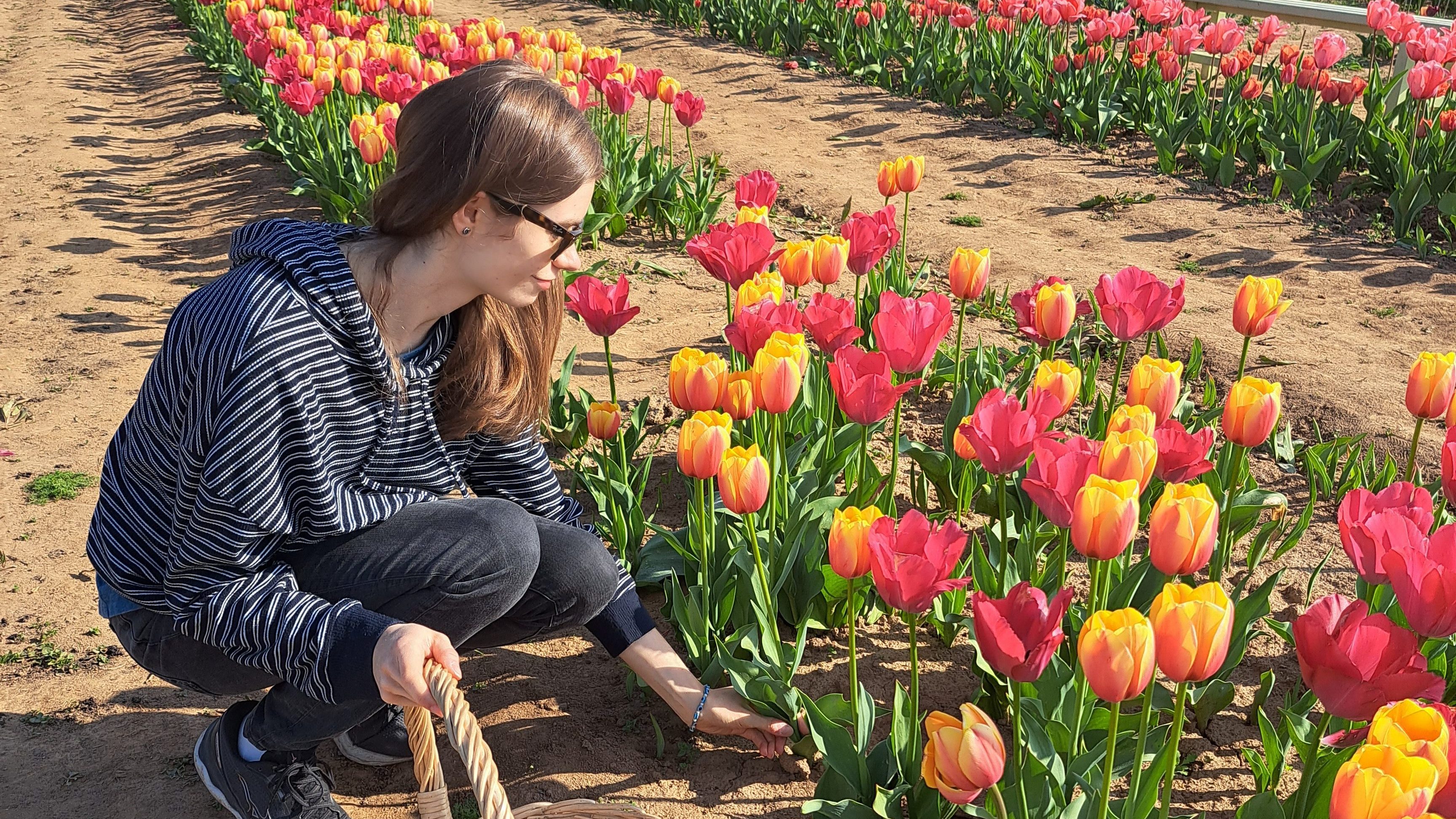 Sofia Lena Perissinotto, wellness blogger. In this article, I write about how impactful nature can be, then about Shirin tulipani, an unforgettable experience that I had at the beginning of April. A field filled with colourful tulips, at Ornago, North of Milan!