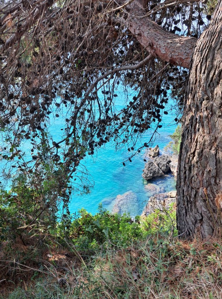 Hi, I'm Sofia Lena Perissinotto. I am a travel blogger. In this article I write about Cilento located in the Campania region of Italy. The photo is taken from the Passeggiata delle Quattro Spiagge, in Marina di Camerota.