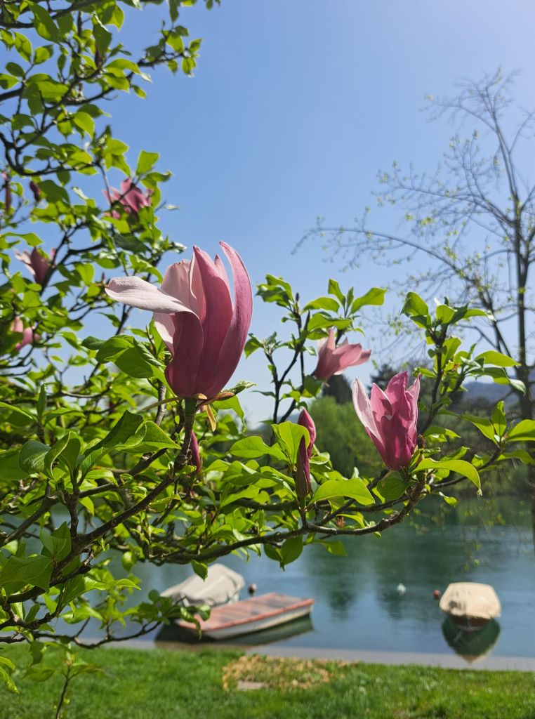 I am Sofia Lena Perissinotto, I am a travel blogger. In this blog post I write about the charming, picturesque town of Brivio in the province of Lecco, Lombardy region, Italy. I also write about some of my favourite cafes, the famous old bridge and the Northern Adda Park.