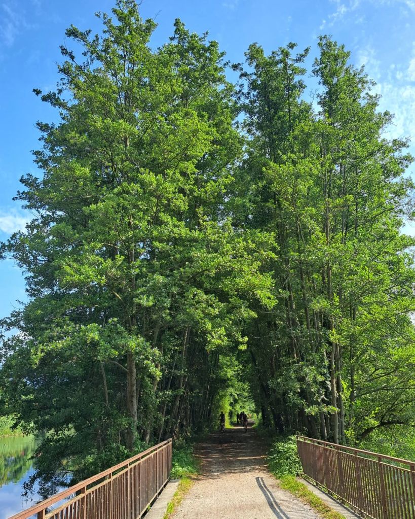 I am Sofia Lena Perissinotto, I am a travel blogger. In this blog post I write about the charming, picturesque town of Brivio in the province of Lecco, Lombardy region, Italy. I also write about some of my favourite cafes, the famous old bridge and the Northern Adda Park. This photo mainly shows a part of a walk in the Northern Adda Park.