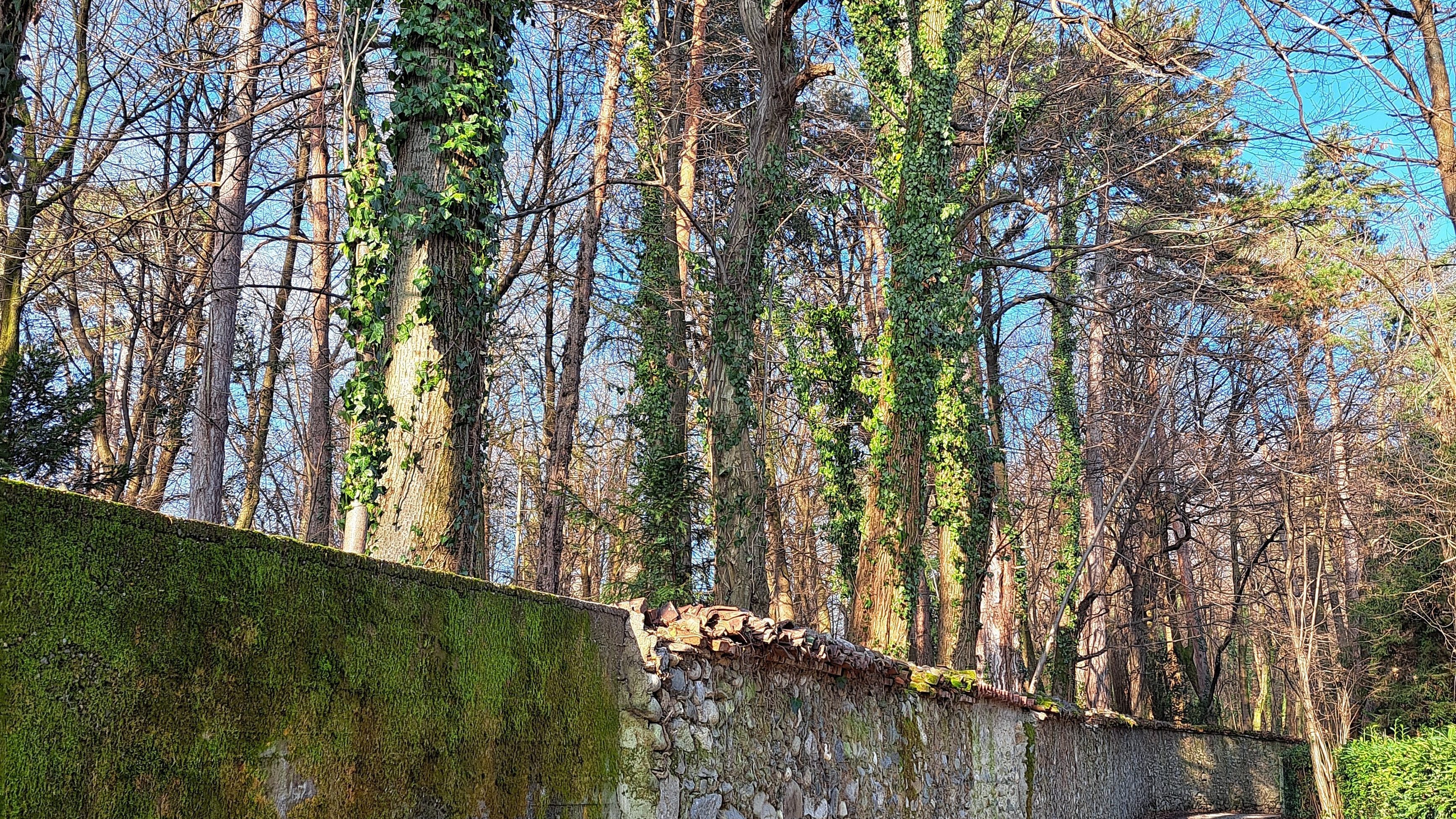 Sofia Lena Perissinotto, wellness blogger. In this article I write about the importance of having morning routines in one's life. A well established morning routine can lead to a better day ahead, giving you more positivity, energies and focus :)