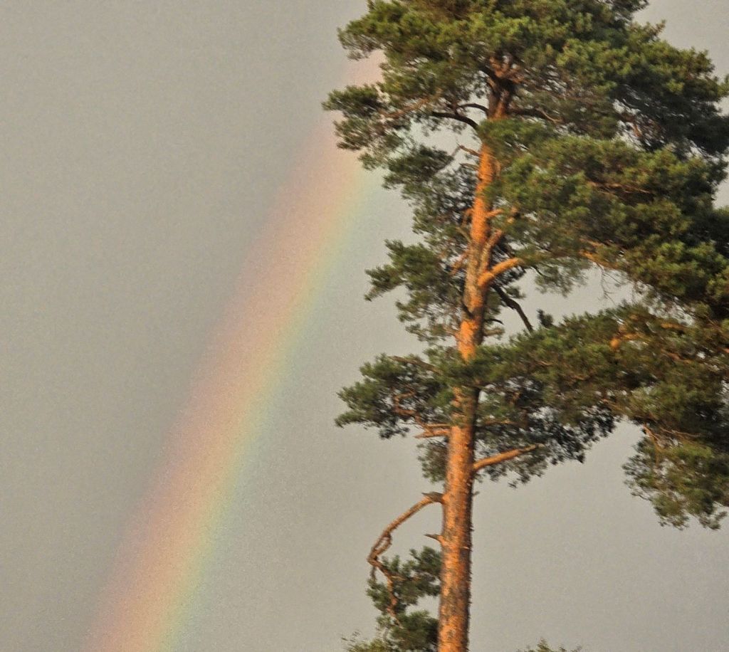 Own and Acknowledge Your Progress