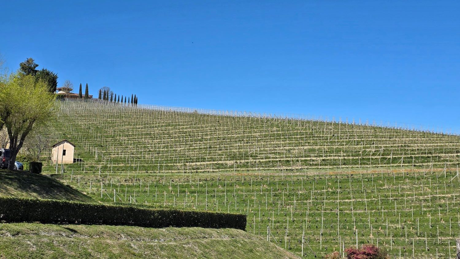 I'm Sofia Lena Perissinotto, and I'm a travel blogger. In this blog post I write about Piedmont, more specifically about Barolo, located in the stunning Alba area.