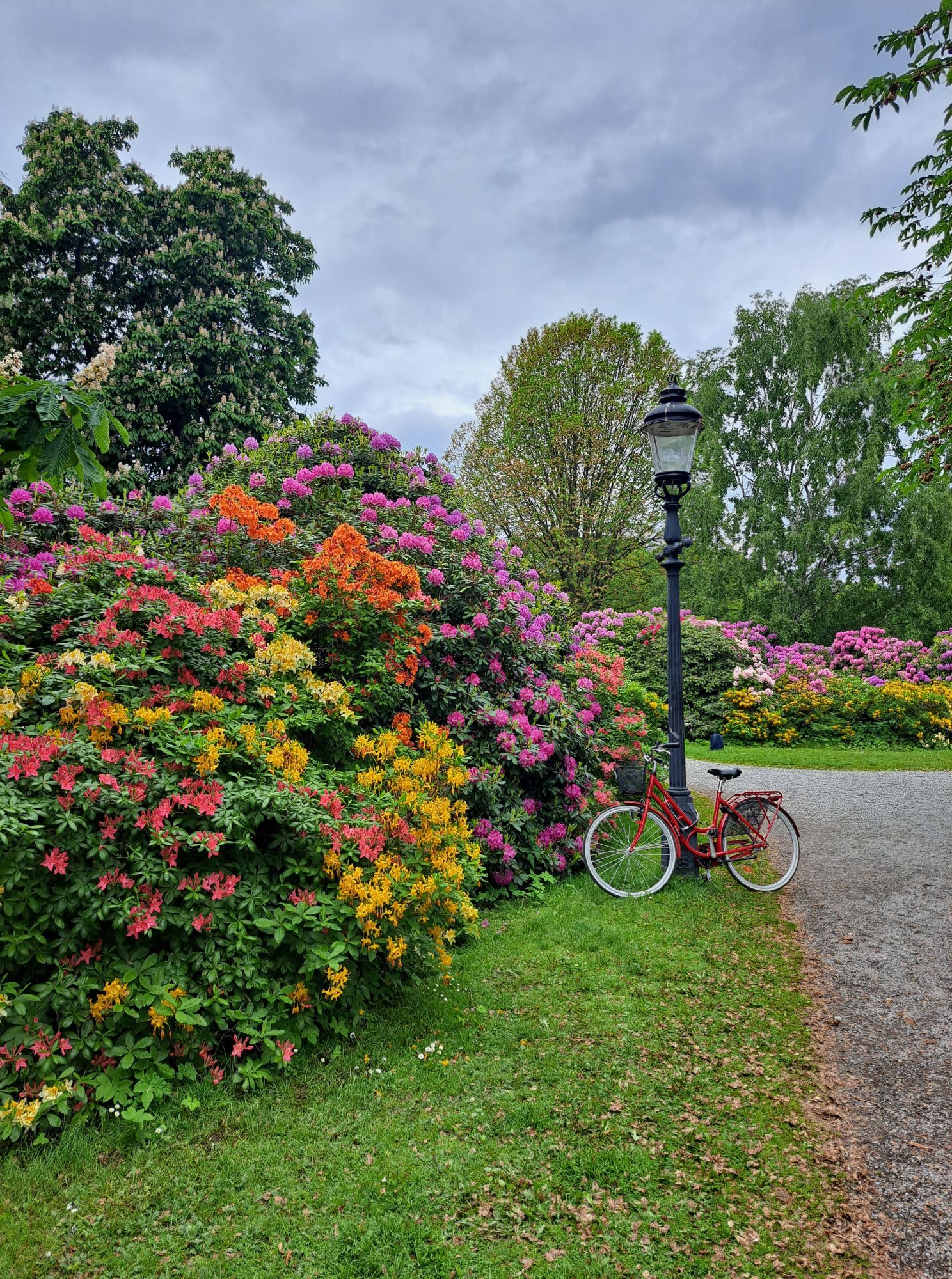 In this travel article I write about Djurgården, a lovely island located right in the center of Stockholm. The photo is taken in June.