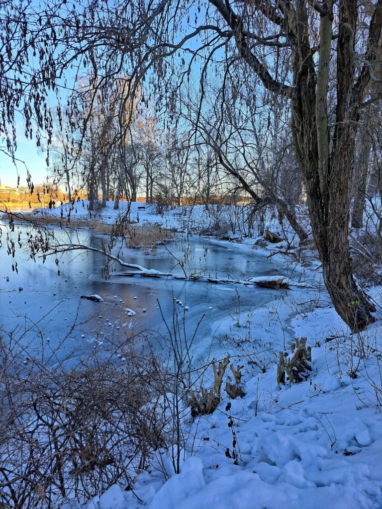 In this travel article I write about Djurgården, a lovely island located right in the center of Stockholm. The photo is taken in the winter.