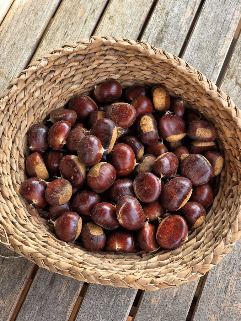 In this feel-good and wellness article, I write about the beauty and comfor of the autumn season. This photo is taken in Sartirana (Merate) province of Lecco, Italy.