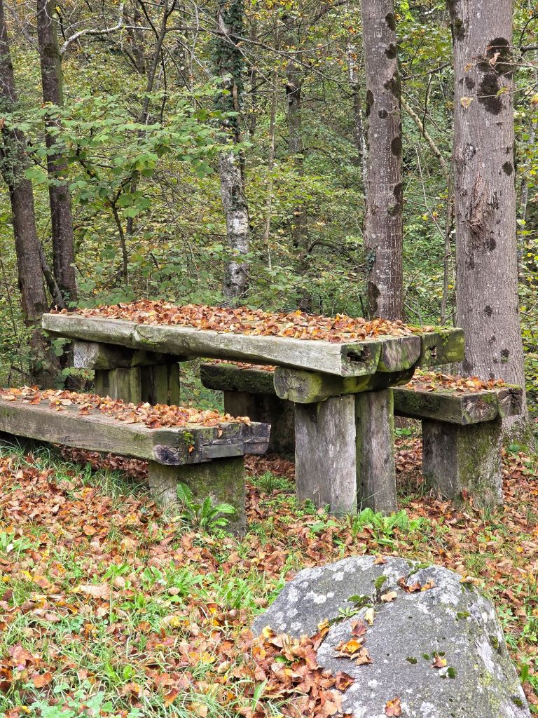 In this feel-good and wellness article, I write about the beauty and comfor of the autumn season. This photo is taken in Rezzago, in the province of Como, Italy.